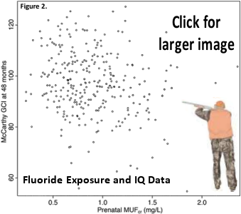 High Scatter = Noisy Data = Low Correlation