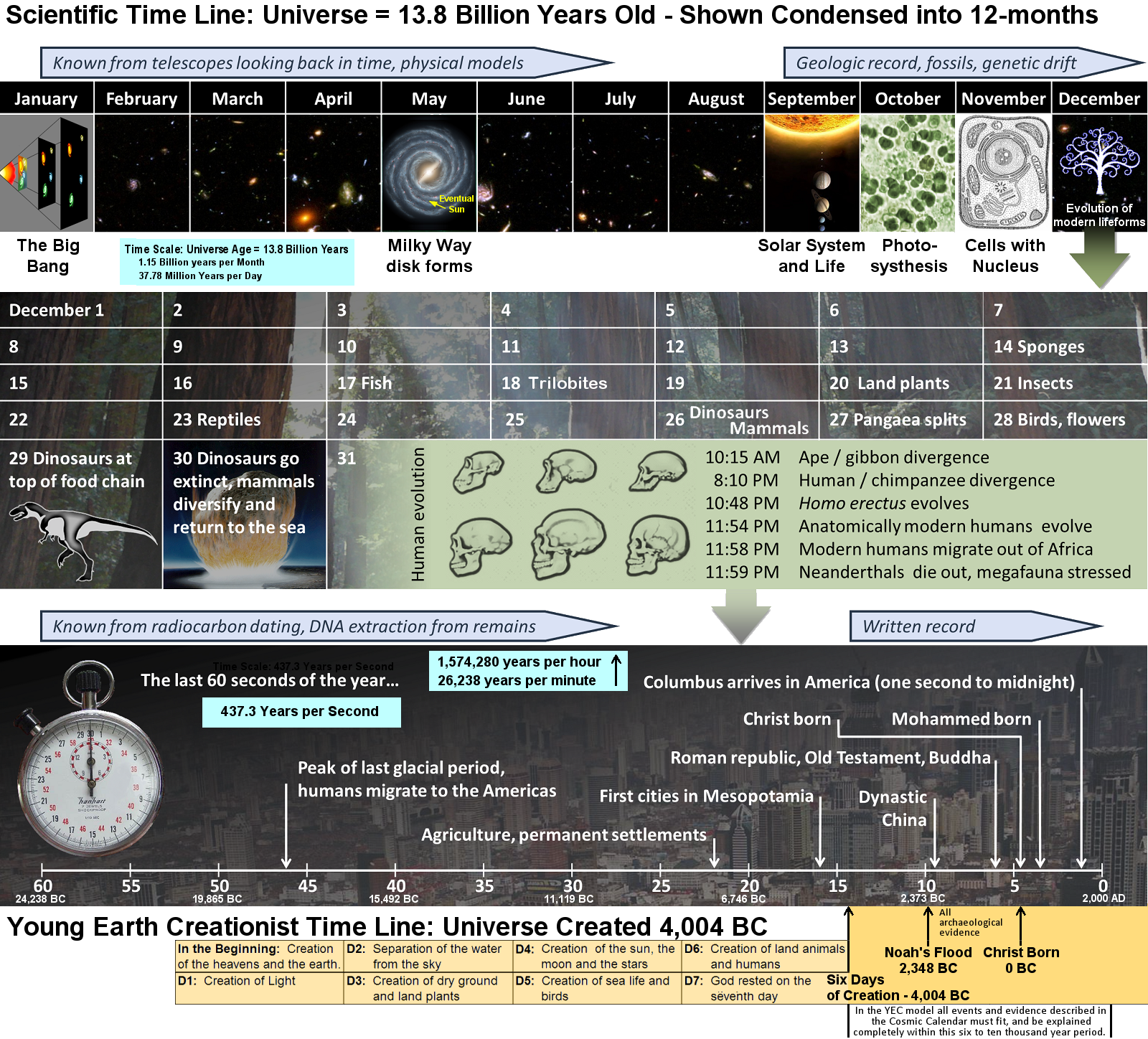 Cosmic Timeline: Evolution vs. Young Earth Creationist