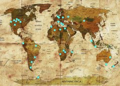 Where is Fossilized Wood Found?