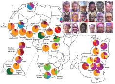 Genetic Diversity in Africa