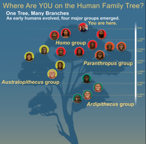 HumanFamilyTree