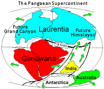 India sprinting into Eursia to form the Himalayan mountains