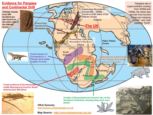 Plate Tectonics: Pangaea
