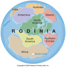 Rodinia
