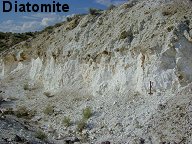 Diatomite formation